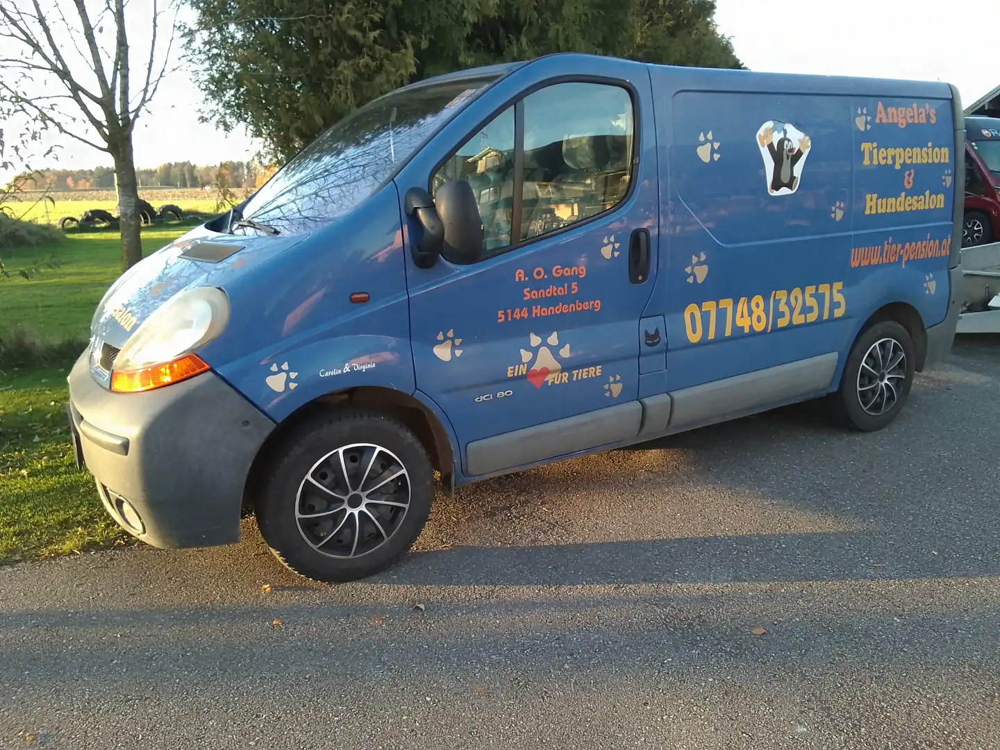 Renault Trafic Trafic Kombi L1H1 1,9 dCi kurz NL 1000 Blau - 1