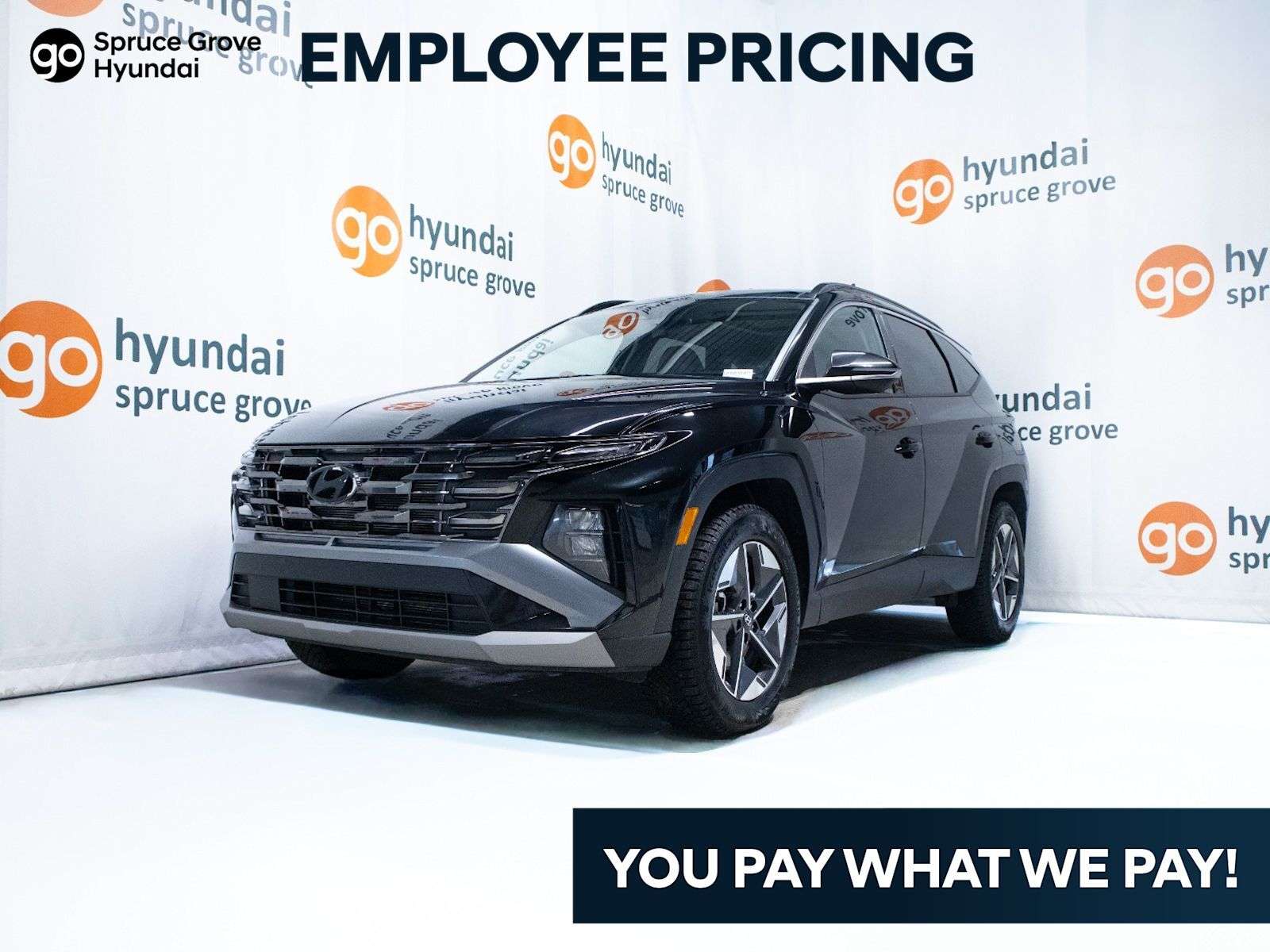 2025 Hyundai Tucson Preferred Trend: AWD, Heated Seats, Apple CarPlay,