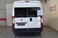 Fiat Ducato Ch.Cb.30 2.2Mjt Corto Weiß - thumbnail 6