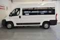 Fiat Ducato Ch.Cb.30 2.2Mjt Corto Weiß - thumbnail 5