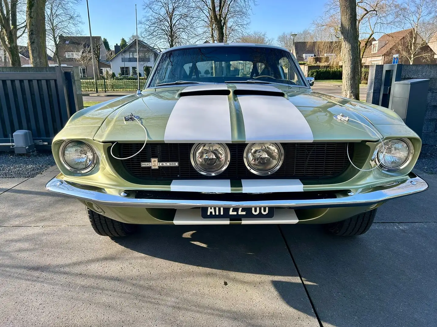 Shelby GT500 4 Speed one family owned Groen - 1