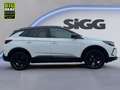 Opel Grandland 1.2 Turbo GS Automatik NAV Kamera Weiß - thumbnail 8