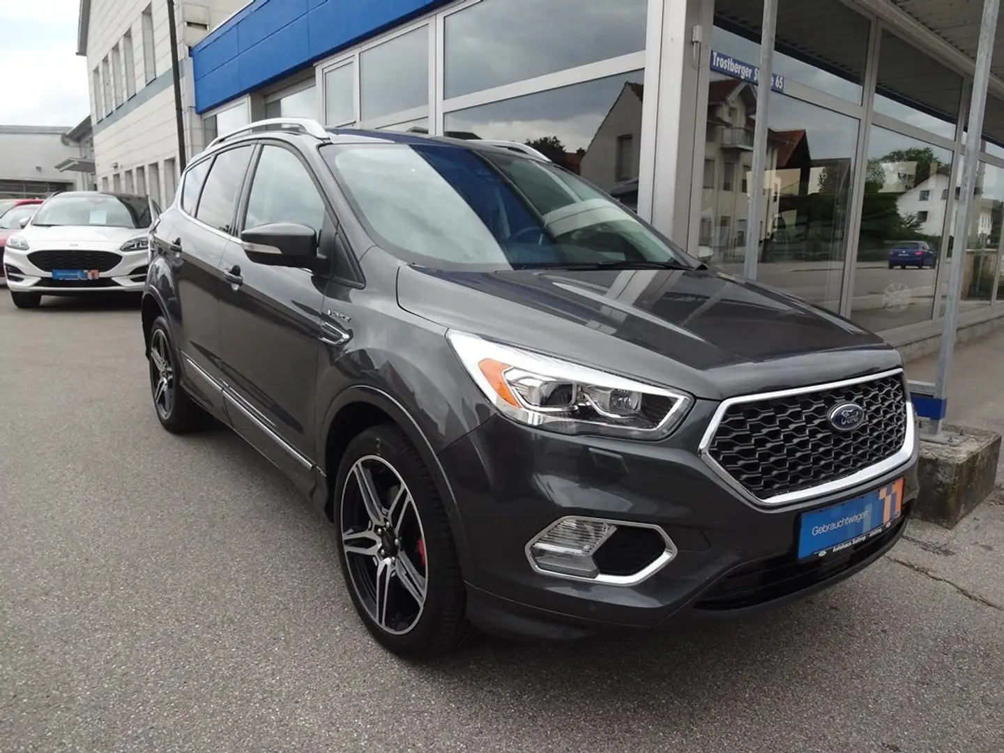 Ford Kuga Vignale Grau - 2