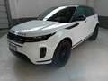 Land Rover Range Rover Evoque Range Rover Evoque 2.0D I4 163 CV AWD Auto S Bianco - thumbnail 1
