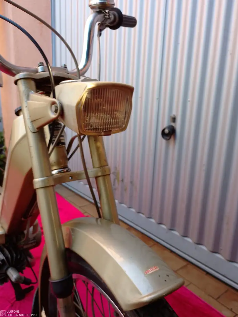 DKW Mofa Gold - 2