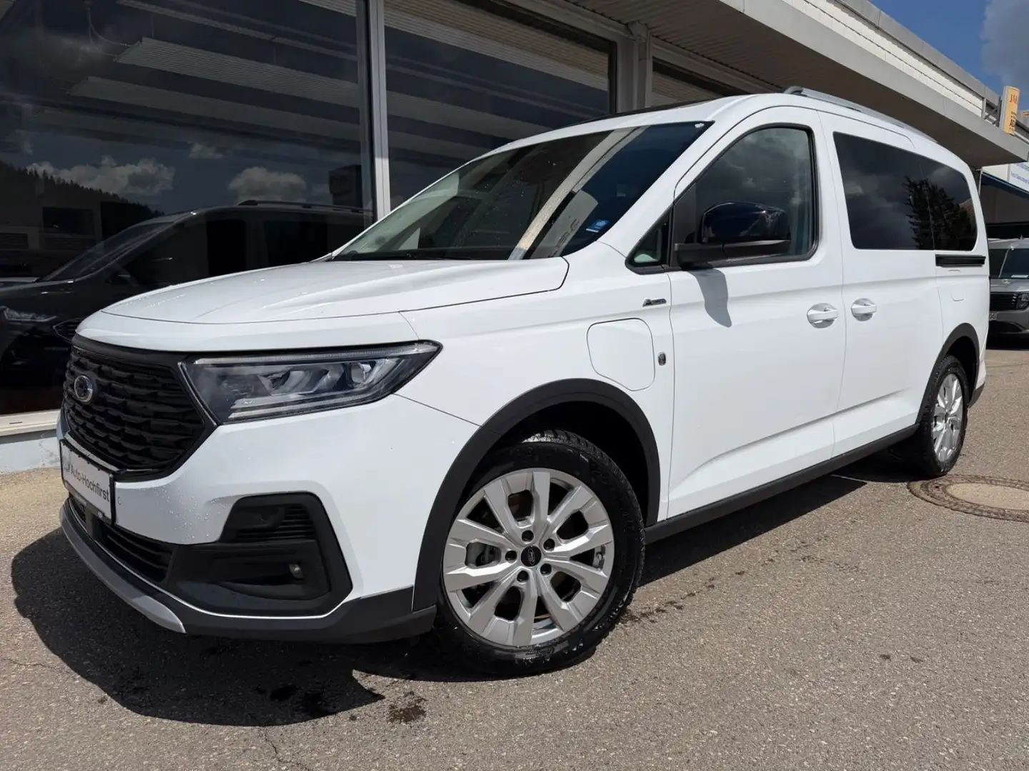 ford tourneo