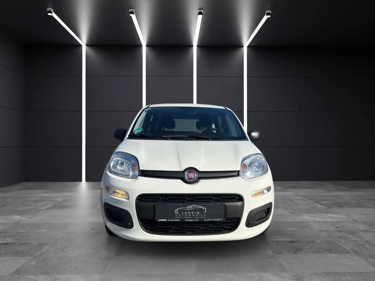 Fiat Panda Base/1HAND/EURO6/52KW/KLIMA/HYBRID Blanc - 2