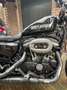 Harley-Davidson Roadster 1200 Schwarz - thumbnail 4