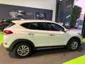 Hyundai TUCSON Comfort Plus Pack 2wd 115cv NAVI-TELECAMERA Wit - thumbnail 4