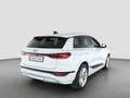 Audi SQ6 e-tron e-tron 490PS NP:114tEUR! AHK.PANO.B&O.LEDER.B-DISP Weiß - thumbnail 3