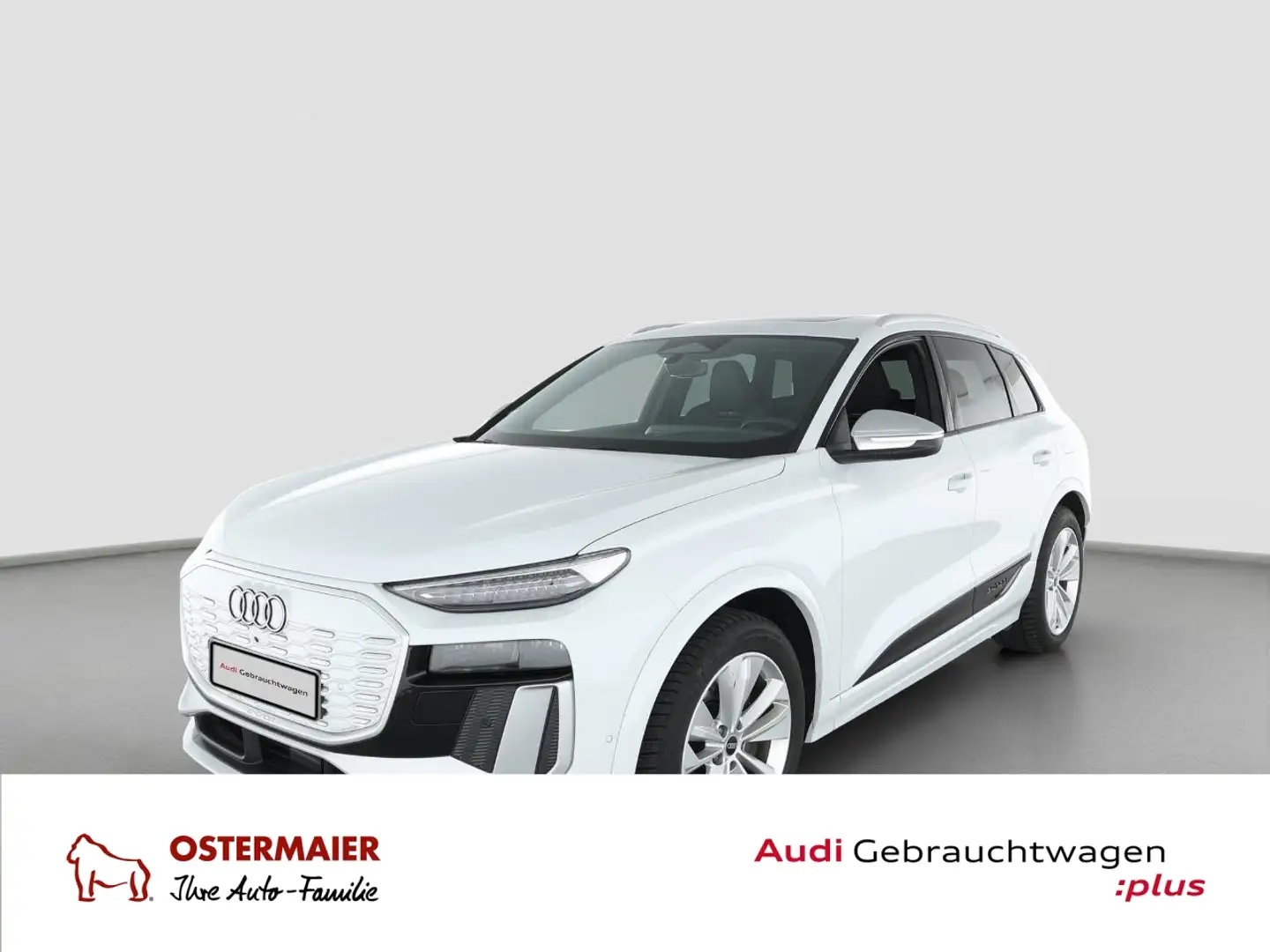 Audi SQ6 e-tron e-tron 490PS NP:114tEUR! AHK.PANO.B&O.LEDER.B-DISP Weiß - 1