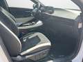 Kia EV6 GT-Line 4WD Weiß - thumbnail 14