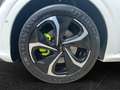 Kia EV6 GT-Line 4WD Weiß - thumbnail 6