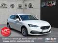 SEAT Leon 1.0 TSI Style SHZ LRHZ v.Cockp Carplay LED Weiß - thumbnail 1
