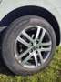 Volkswagen Touran Touran Comfortline 1,6 SCR TDI Comfortline Weiß - thumbnail 5