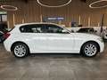 BMW 114 1 Limousine 5-trg. 114 i*AHK*TÜV 11/27* Weiß - thumbnail 2