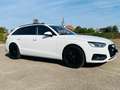 Audi A4 40 TFSI basis Weiß - thumbnail 3