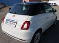 Fiat 500 FireFly Hybrid 70 Dolcevita Bicolor Weiß - thumbnail 5