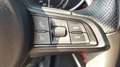 Alfa Romeo Stelvio 2.2 Turbodiesel 160 CV AT8 RWD Rosso Edizione Rot - thumbnail 19