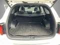 Kia Sorento 1.6 T-GDI Hybrid 2WD ExecutiveLine 5p. Blanc - thumbnail 20