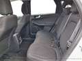 Ford Kuga Titanium FHEV Hybrid  AWD Weiß - thumbnail 17