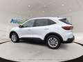 Ford Kuga Titanium FHEV Hybrid  AWD Weiß - thumbnail 6