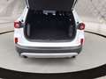 Ford Kuga Titanium FHEV Hybrid  AWD Weiß - thumbnail 10
