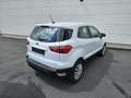 Ford EcoSport 1.0 ecoboost 99ch Wit - thumbnail 5