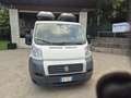 Fiat Ducato 9 POSTI - thumbnail 6