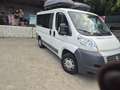 Fiat Ducato 9 POSTI - thumbnail 5