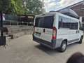 Fiat Ducato 9 POSTI - thumbnail 13