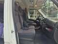 Fiat Ducato 9 POSTI - thumbnail 1