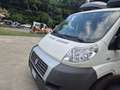Fiat Ducato 9 POSTI - thumbnail 7