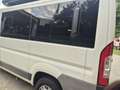 Fiat Ducato 9 POSTI - thumbnail 14