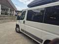 Fiat Ducato 9 POSTI - thumbnail 10