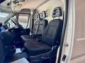 Fiat Ducato 2.2 D L2H2 KLIMAAUT CARPLAY PDC AHK 3STZ Weiß - thumbnail 13