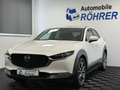 Mazda CX-30 SKYACTIVE-X AWD Automatik LED ACC AHK HUD Blanc - thumbnail 1