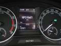 Skoda Rapid/Spaceback 1.0 TSI DSG AUT CLEVER WIT PARELMOER + PANORAMADAK Blanc - thumbnail 25