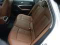 Audi A6 Avant 40 TDI S-tronic *ACC, LED, NAVI, RFK* Weiß - thumbnail 11