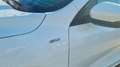 Ford Kuga 1.5 EcoBlue 120 CV 2WD ST-Line Wit - thumbnail 20