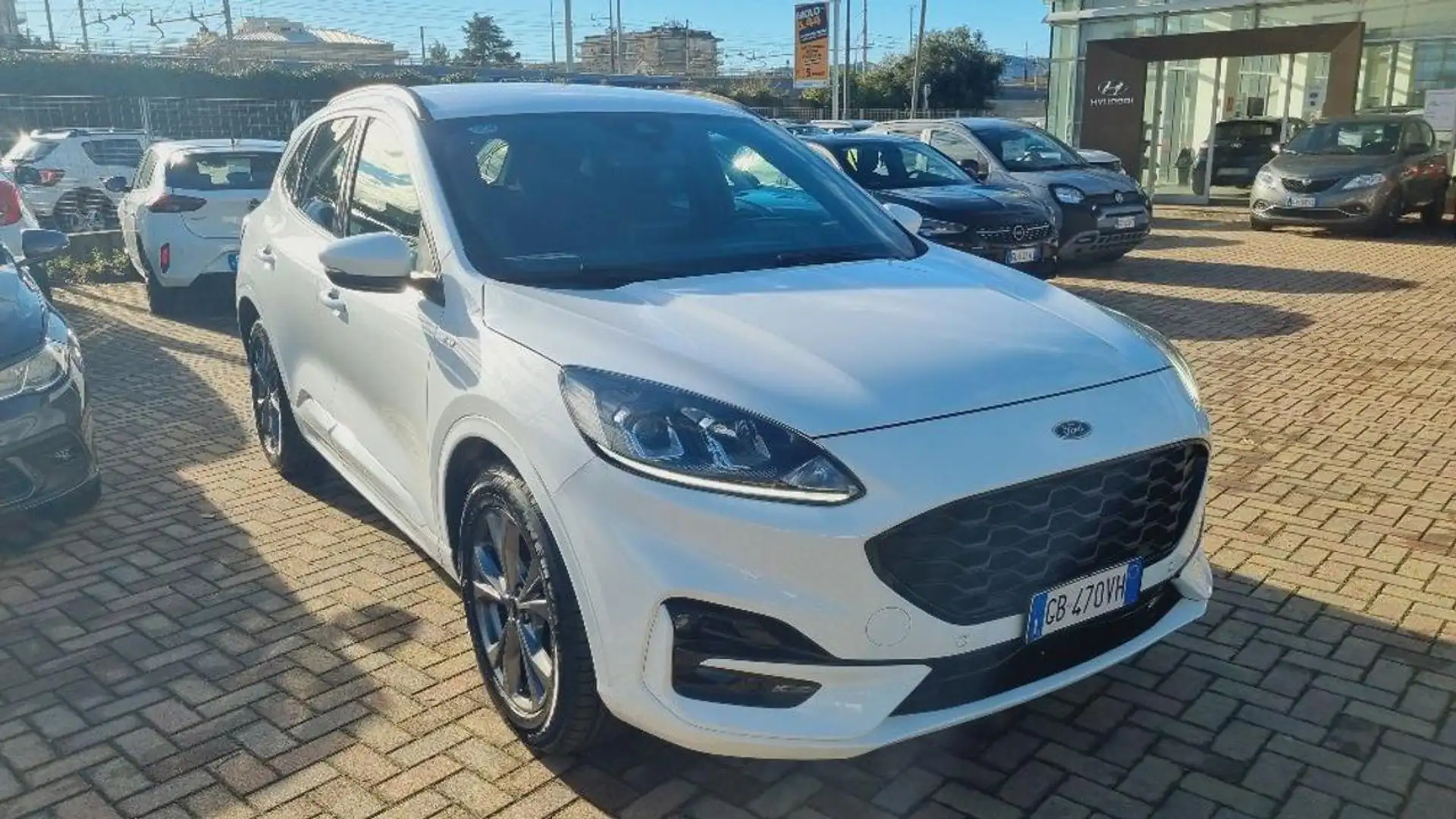 Ford Kuga 1.5 EcoBlue 120 CV 2WD ST-Line Blanc - 2