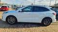 Ford Kuga 1.5 EcoBlue 120 CV 2WD ST-Line Wit - thumbnail 17
