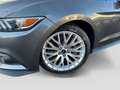 Ford Mustang GT 5.0 Ti-VCT V8 Auto Cam Tempo Climatr Grijs - thumbnail 5