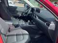 Mazda CX-5 2023 5WGN 2.5L e-SKYACTIV G 194ps 6AT AD'VA Rouge - thumbnail 8