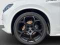Alfa Romeo Stelvio Estrema Q4 HARMAN/KARDON+Alfa Active Suspension Blanco - thumbnail 20