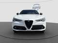 Alfa Romeo Stelvio Estrema Q4 HARMAN/KARDON+Alfa Active Suspension Blanco - thumbnail 6