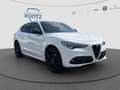 Alfa Romeo Stelvio Estrema Q4 HARMAN/KARDON+Alfa Active Suspension Blanco - thumbnail 9