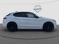 Alfa Romeo Stelvio Estrema Q4 HARMAN/KARDON+Alfa Active Suspension Blanco - thumbnail 7
