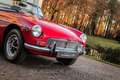 MG MGB 1.8 Roadster Rot - thumbnail 41