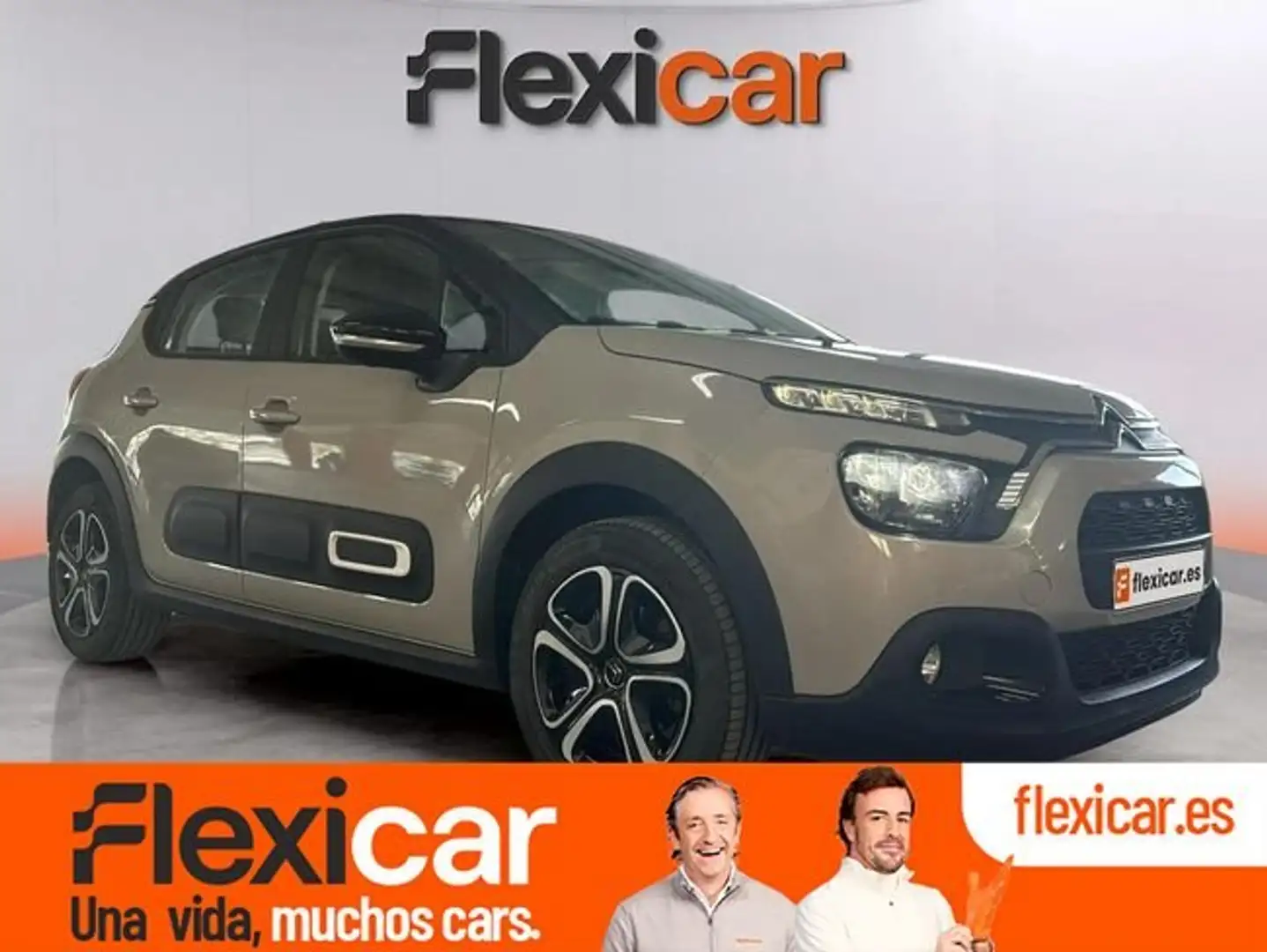Citroen C3 PureTech 81KW (110CV) Max Gris - 1